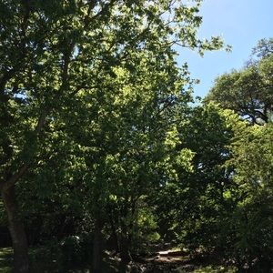 Come check out my bio!